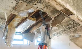 Best Water Damage & Mold Remediation in , MA